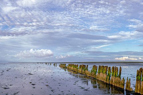 Wadden - Moddergat before sunset III