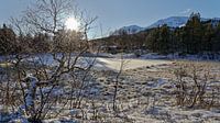 Winter in Norwegen. van Michael Schreier thumbnail