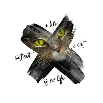 Graphic Art British Shorthair Cat van Melanie Viola