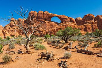 Parc national des Arches, Moab, Utah sur Henk Meijer Photography