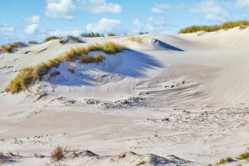 Stuifduinen langs de kust van eric van der eijk