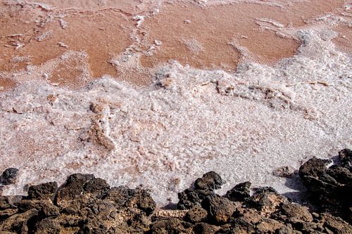 Salzkristalle an der Küste