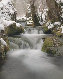 A winter's morning by the Brühlbach by Marcel Hechler