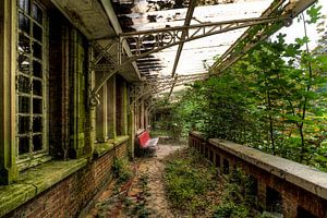 Overwoekerde veranda