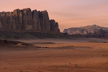 Zonsondergang Wadi Rum woestijn Jordanië van Sander Groenendijk