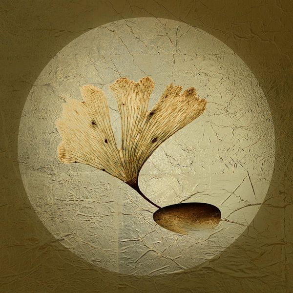 Strength 1. Ginkgo. by Alie Ekkelenkamp