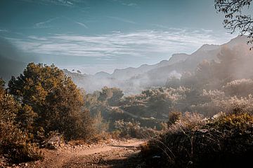 Betoverende Zonsopkomst in Catalonië: Verlaten Zandweg met Olijfbomen van Erwin Floor