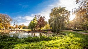 King's Park en couleurs d'automne sur Thomas van der Willik