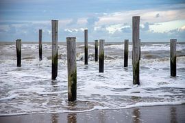 Palendorp strand Petten aan zee, Nederland van Eigenwijze Fotografie