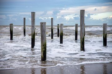 Palendorp strand Petten aan zee, Nederland van Eigenwijze Fotografie