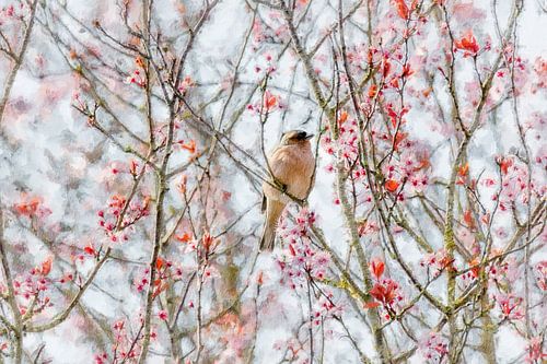Pink blossom and a male finch (painting)
