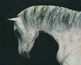 Pferdekopf von Jan Keteleer Miniaturansicht