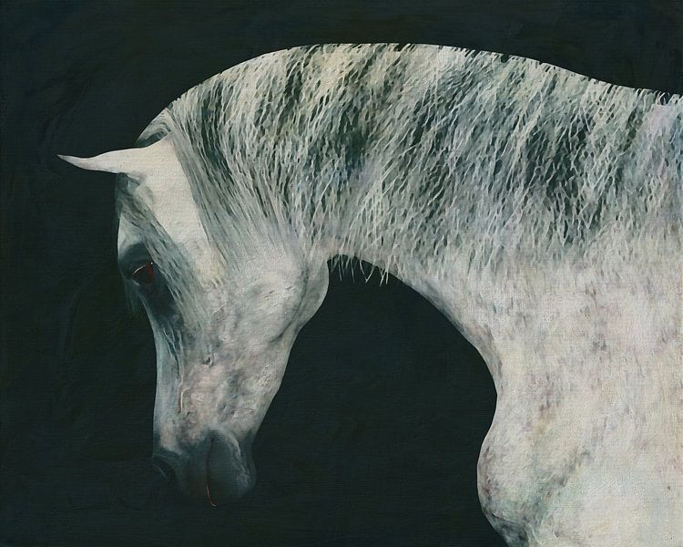 Pferdekopf von Jan Keteleer