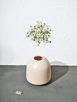 Vase with floating Capsella
