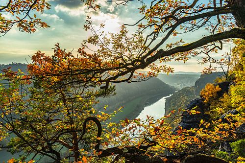 saxon switzerland with view of the elbe river, germany