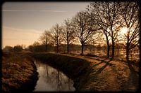 Dawn