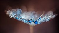 Blue drops on a lint
