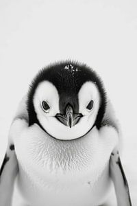 Pinguin in Schwarz-Weiß