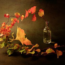 Herfst Stilleven. van Alie Ekkelenkamp