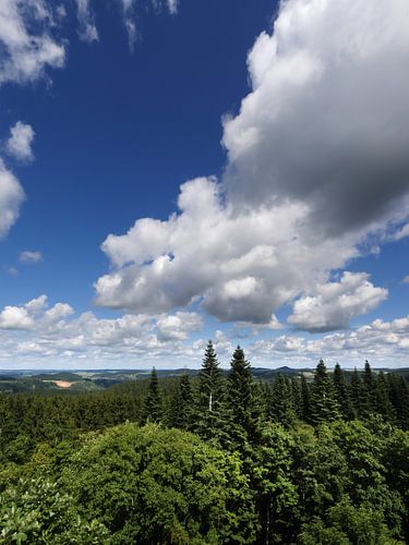 Die Eifel vom Aussichtspunkt Dietzenley 4