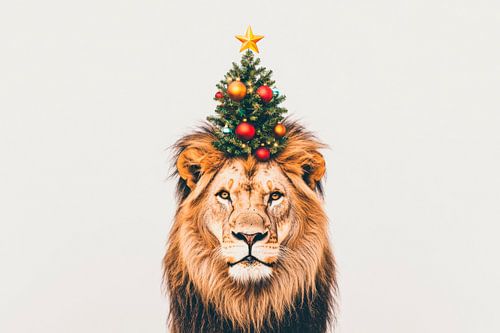 Leo Kerstmis