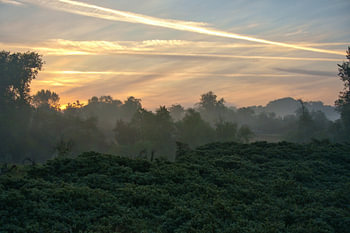Lueur matinale – Brouillard sur le paysage néerlandais