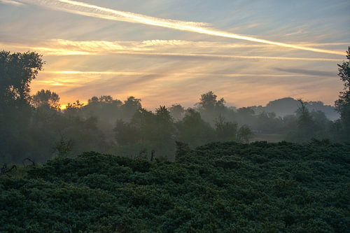 Ochtendglans – Mist over het Nederlandse landschap
