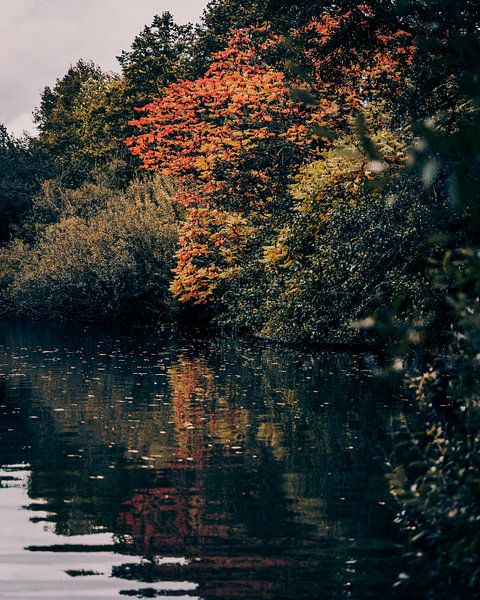 Herbstliche Farben von Sander Spreeuwenberg