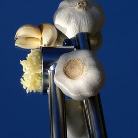 Knoflook gebruiken von Astrid Koning Priester