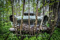Oude auto in het bos van Inge van den Brande thumbnail