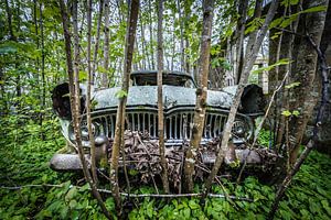 Altes Auto im Wald von Inge van den Brande