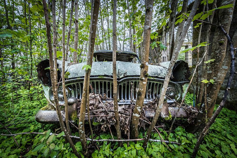 Oude auto in het bos van Inge van den Brande