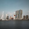 Skyline van Rotterdam met Erasmusbrug van Lorena Cirstea