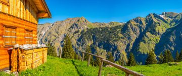 Alm, Allgäu Alps van Walter G. Allgöwer