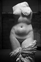 Vrouwelijk naakt , Venus/ Aphrodite