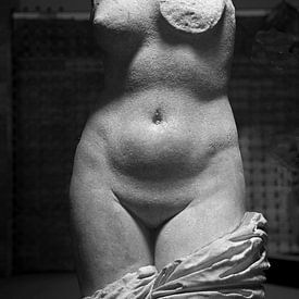 Vrouwelijk naakt , Venus/ Aphrodite sur Dirk Huijssoon