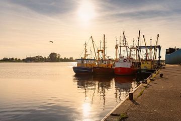 Zoutkamp visserboten in de haven van KB Design & Photography (Karen Brouwer)