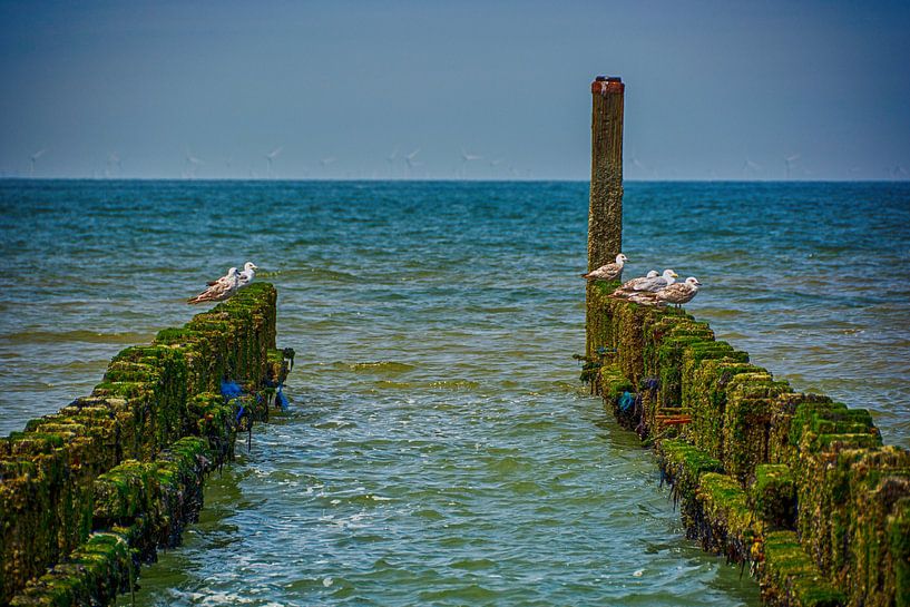 Breakwaters in the Sea by Roland de Zeeuw