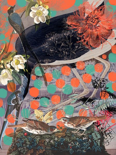 Ibis collage by Jadzia Klimkiewicz