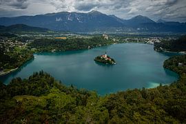 Island by Mojca Osojnik