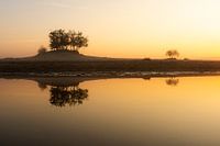 Silent reflection in the morning light