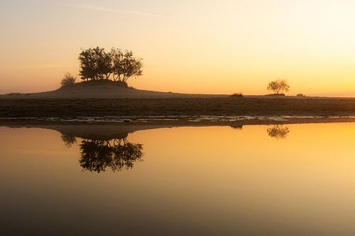 Stille reflectie in het ochtendlicht