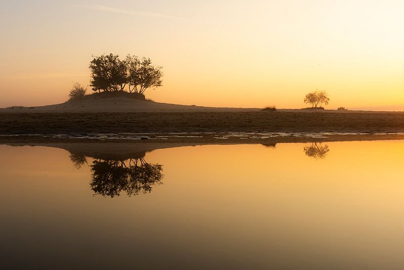 Réflexion silencieuse dans la lumière du matin par Olaf Karwisch