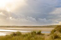Sluftervallei bij het strand van Texel van Sjoerd van der Wal Fotografie thumbnail