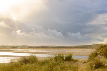 Sluftertal am Strand der Insel Texel im niederländischen Wattenmeer von Sjoerd van der Wal Fotografie