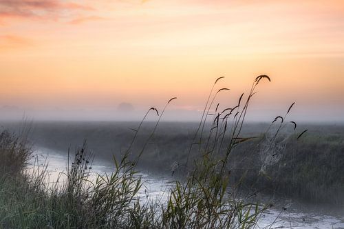 Mist bij dageraad.