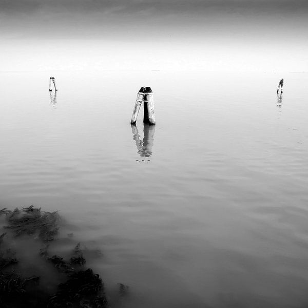 Laguna Murano van M. van Oostrum