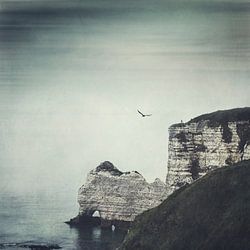 Alabasterküste Kreidefelsen Etretat - Normandie