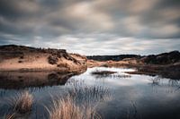 Mirroring of clouds in the Wassenaar dunes