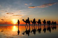 Coucher de soleil avec des chameaux sur la plage. Broome, Australie par The Book of Wandering Aperçu